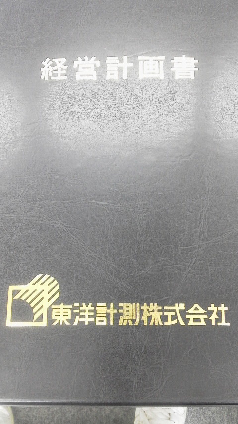 CEO